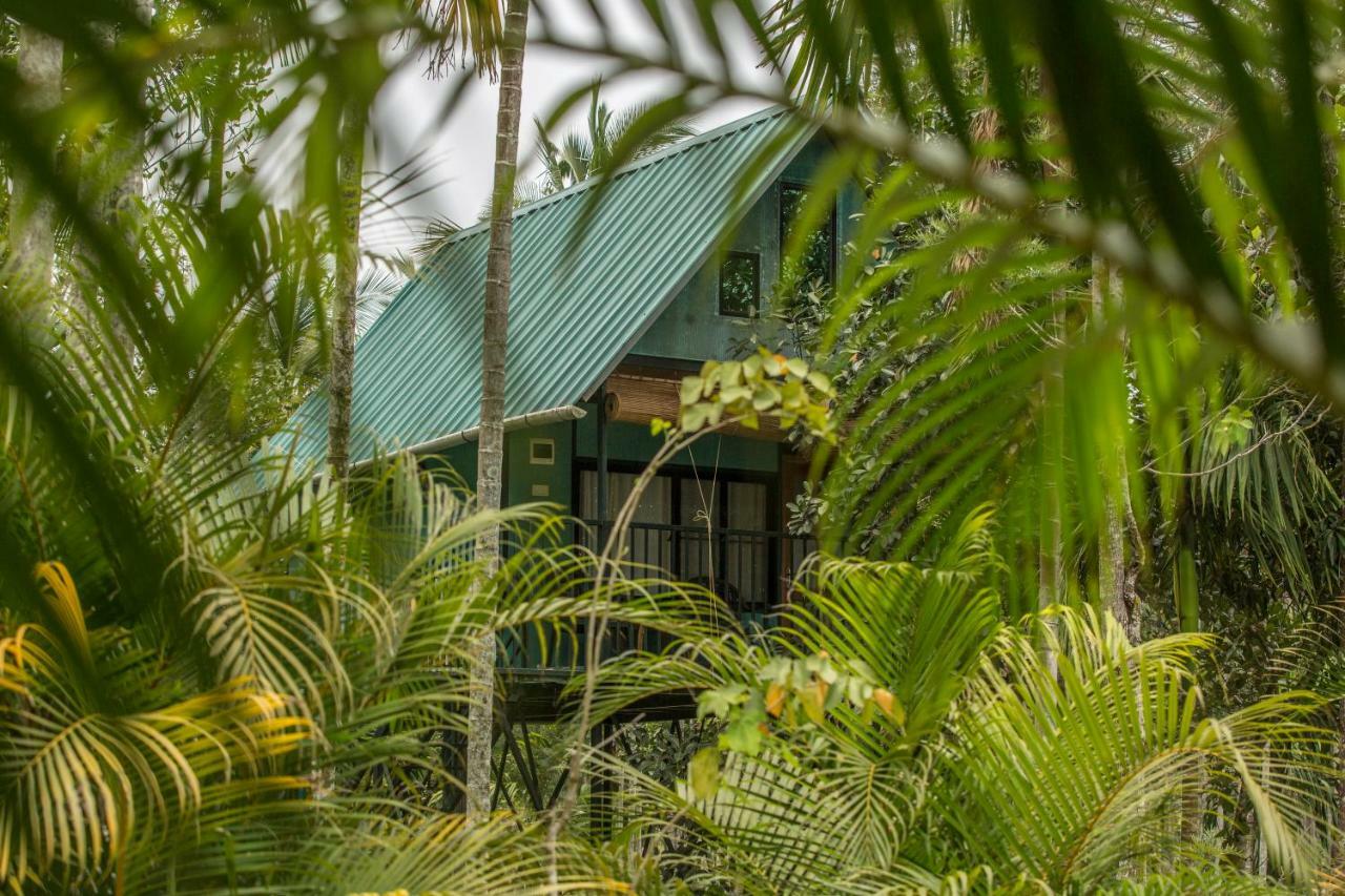 Kedara Village Sultan Bathery Exterior photo